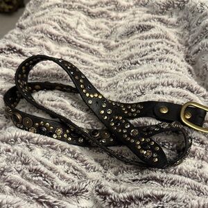 Campomaggi Black Belt with Gold Accents